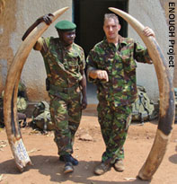 Seized ivory