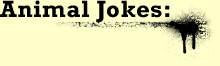 Animal Jokes