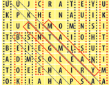 Word Find